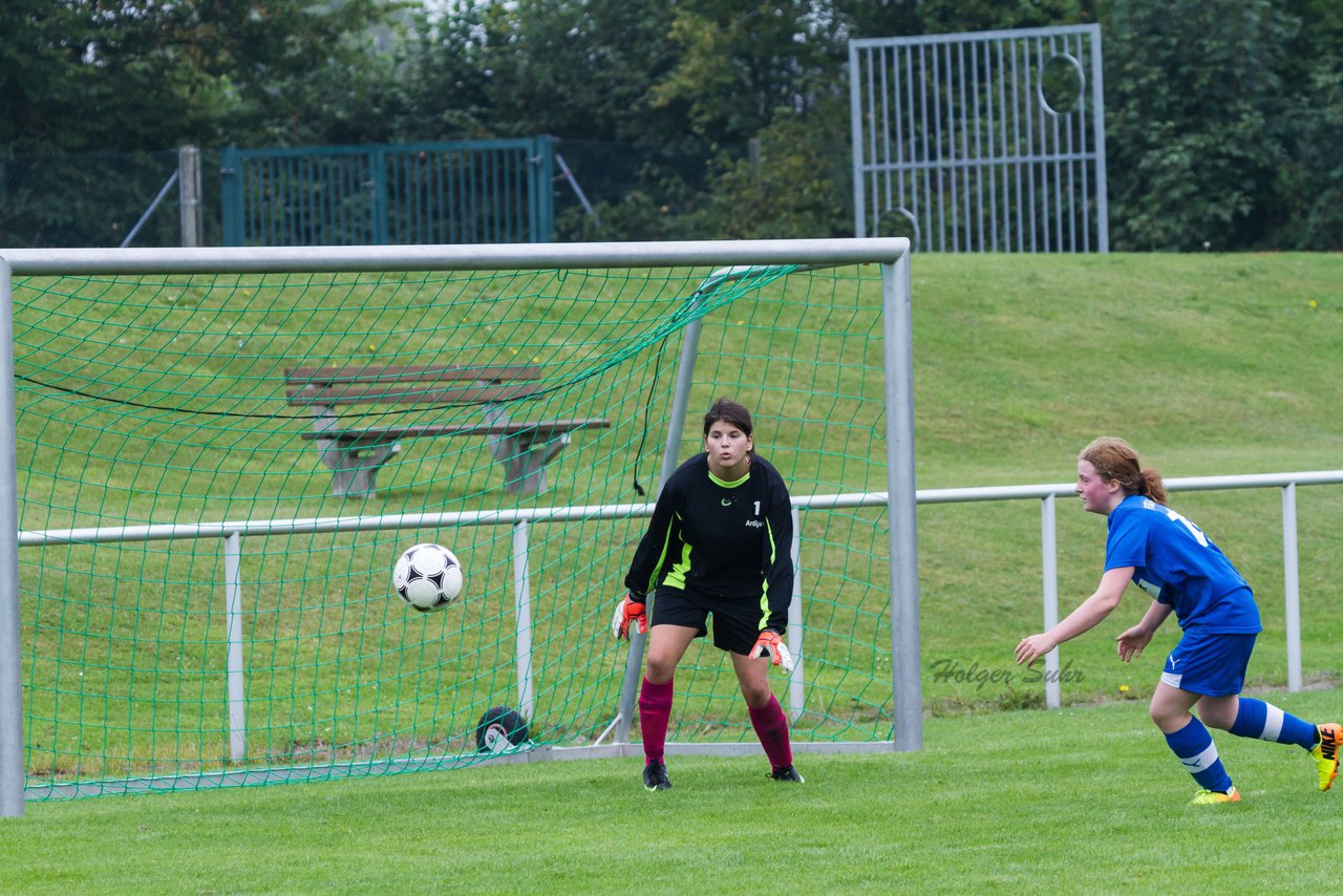 Bild 341 - B-Juniorinnen FSG BraWie 08 - JSG Sandesneben : Ergebnis: 2:0